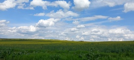 Bogács