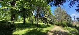 Noszvaj