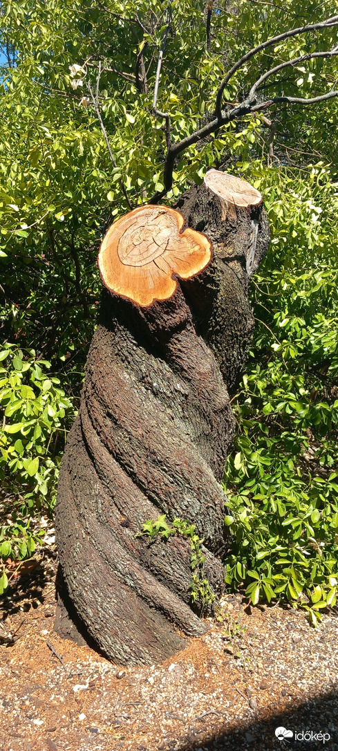 Paloznak
