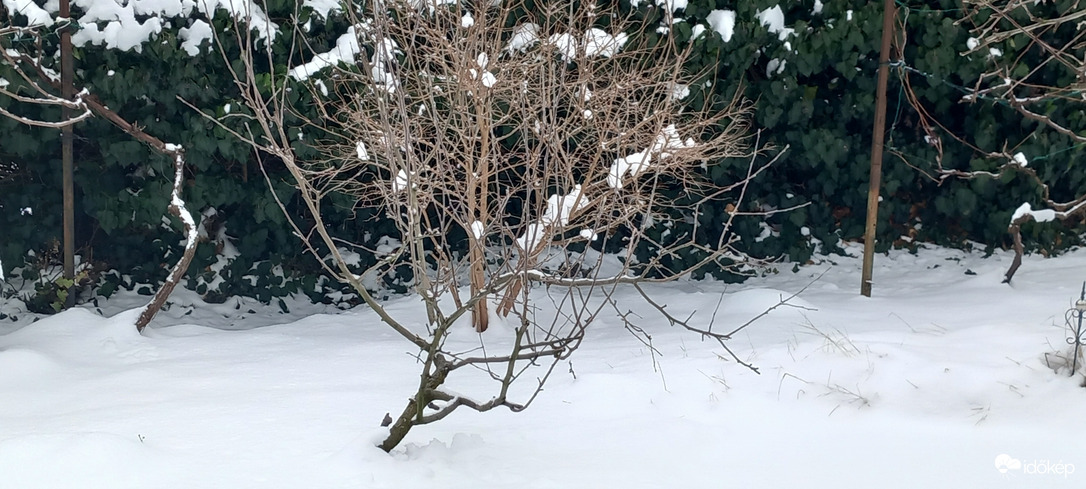 Budapest XVI.ker - Cinkota