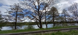 Horgásztó
