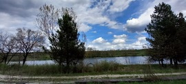 Horgásztó