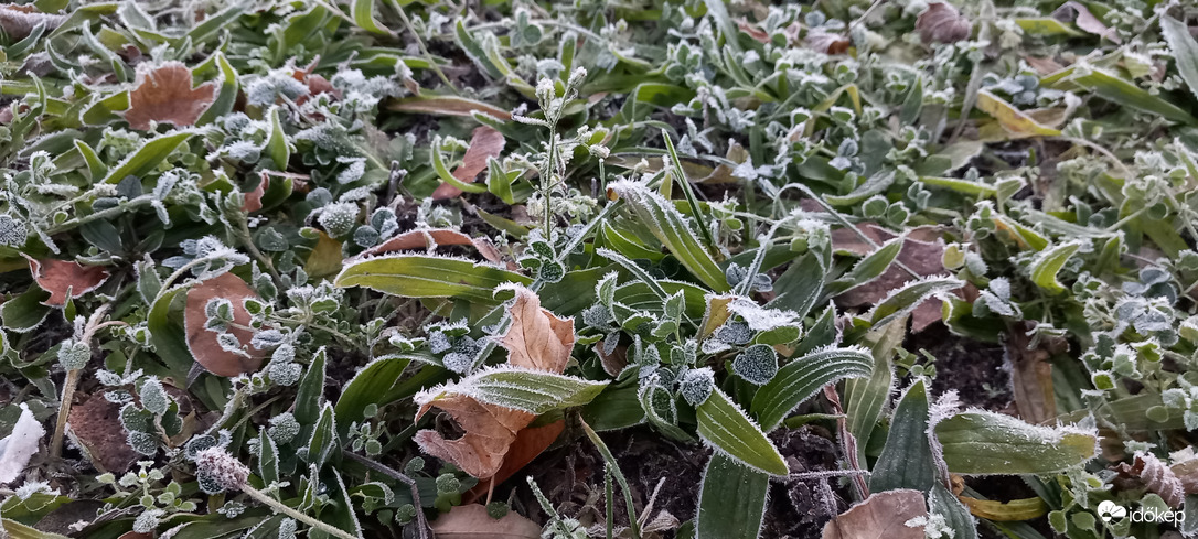 Budapest XVI.ker - Cinkota