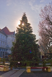 Kaposvári napos karácsony