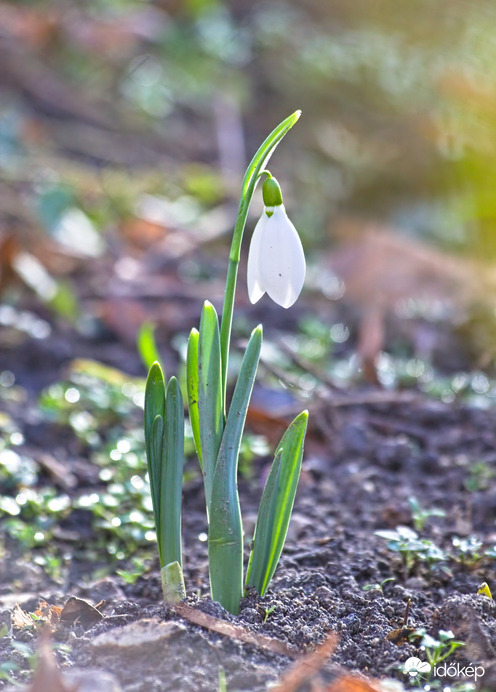 Még mindig tavasz van :)