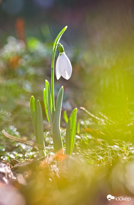 Amikor éppen sütött a Nap :)