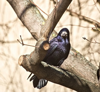 Hogy miiii? Tavasz van?