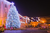 Fehérvári karácsonyfa 2021