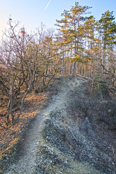 Kanada a Vértesben