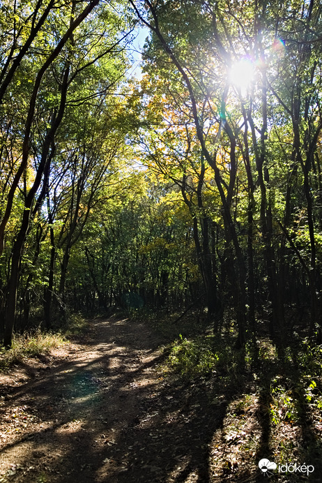 Napsütés a Vértesben