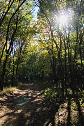 Napsütés a Vértesben