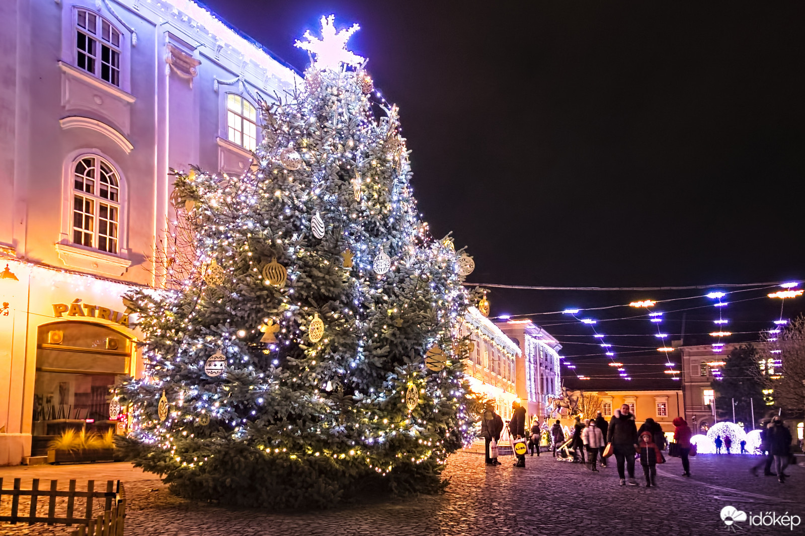 Fehérvári karácsonyfa 2020