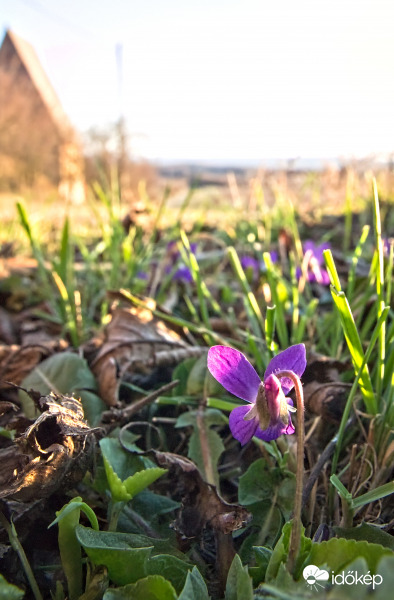Tavasz a táj felett