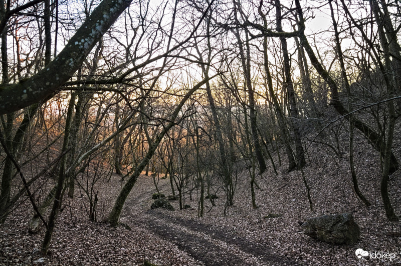 A téli álom vége a Vértesben