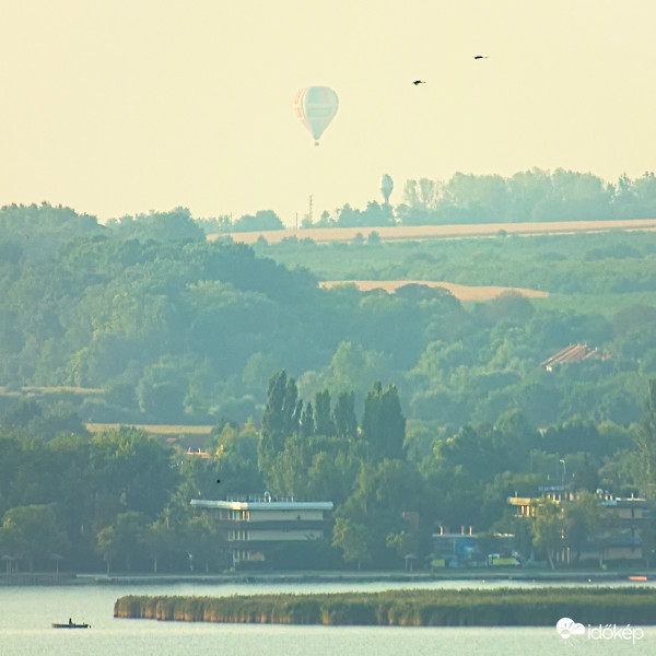 Ahol a madarak járnak