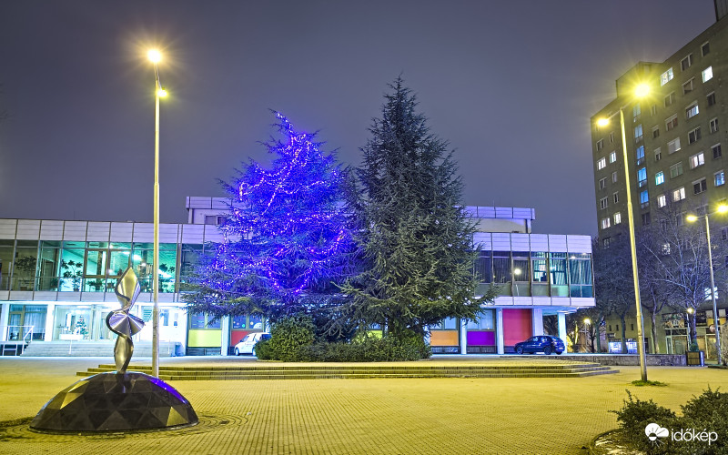 Borús decemberi karácsonyfa