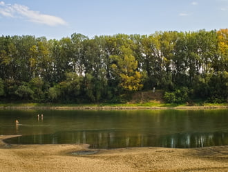 Tisza