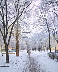 Székesfehérvári lepel