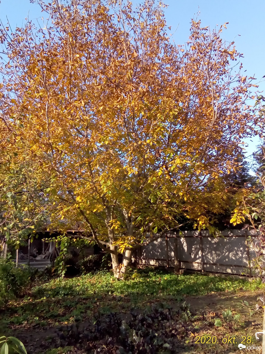 Őszi ünneplőben