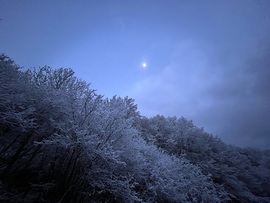 Tél a tavaszban