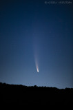 NEOWISE üstökös a Vértes felett - 07.13, 3:42 AM