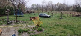 Mezőcsokonya