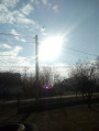 Darvas
