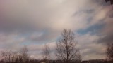 Záhony