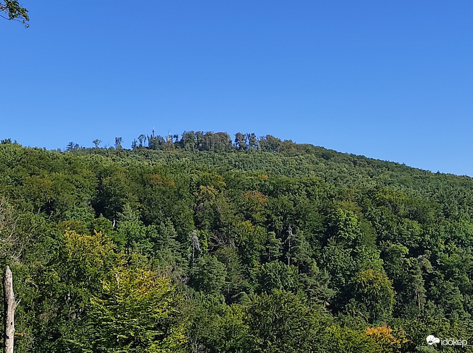 Tamási