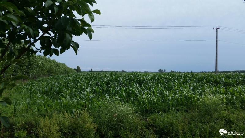 Nagyszalonta