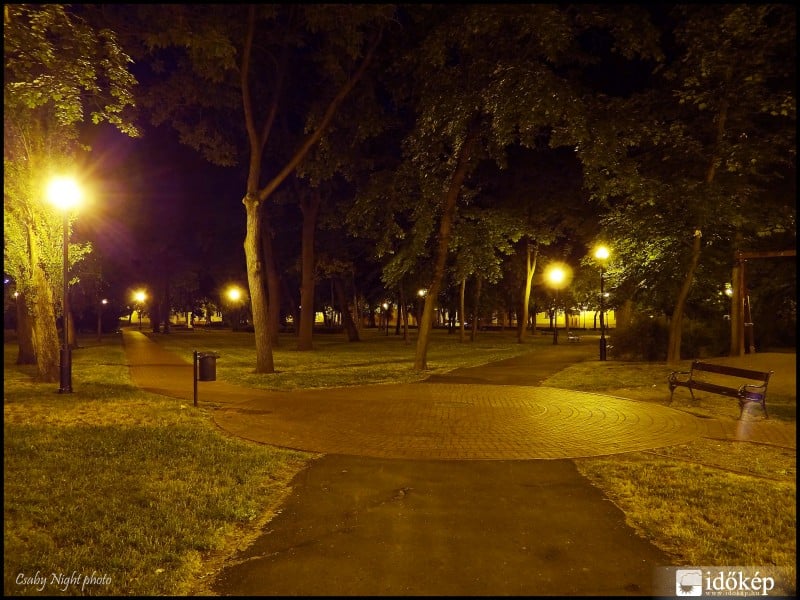 Éjszakai csendélet a makói Petőfi parkban.