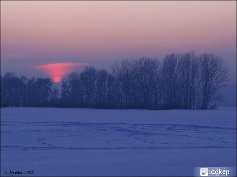 2012.02.10. Makó, Csordajárás