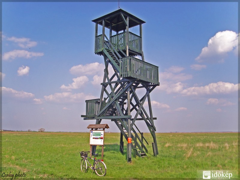 Madárles kilátó a Tótkomlós előtti füves pusztán.