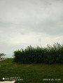 Siófok