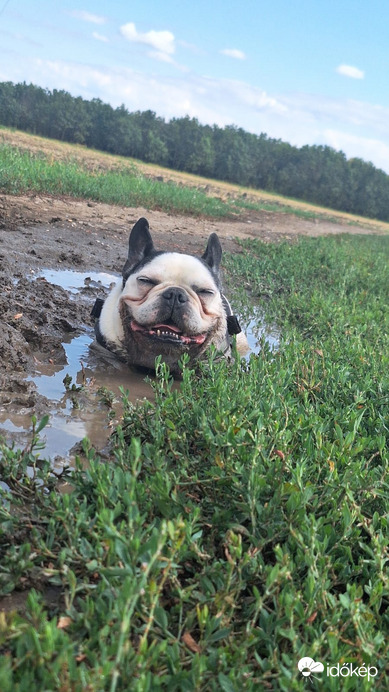 Várom a tavaszt hihi