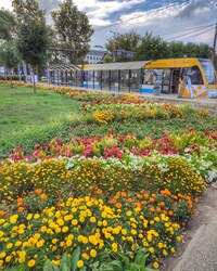 Virágtenger Debrecenben