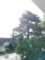 Siófok