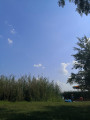 Dorog