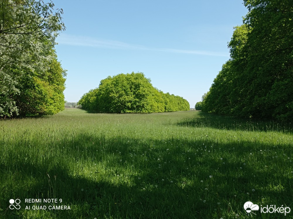 Észlelési fényképek