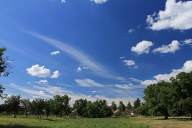 Cirrus-hadsereg