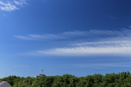 Cirrus fibratus II.