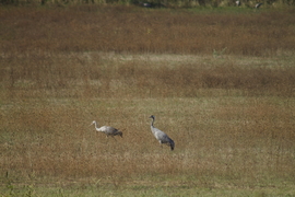Élelemszerzési szeminárium