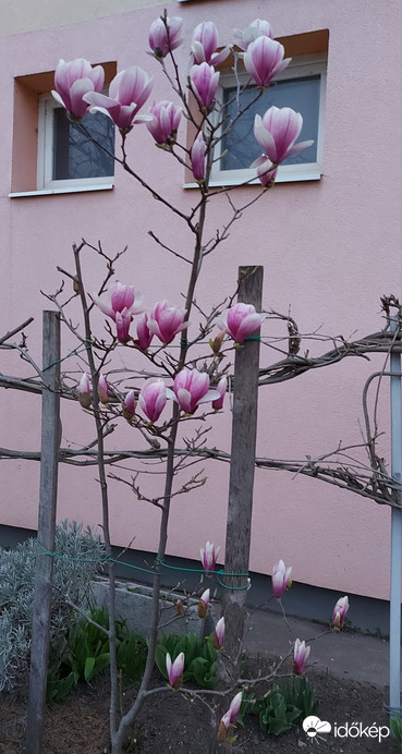 Tapolca