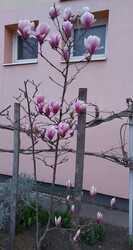 Tapolca