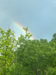 Budapest X.ker - Királydomb