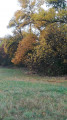 Dunaföldvár