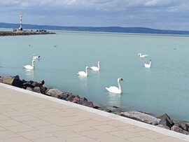 Siófok