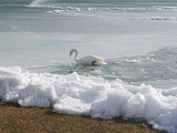 Balaton március 10