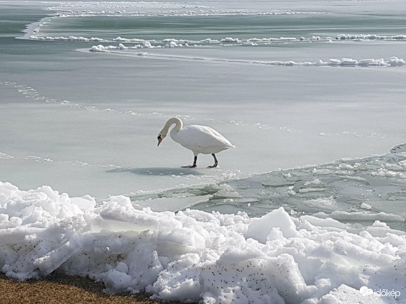 Balaton március 10