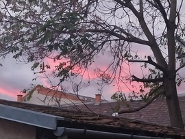 Naplemente